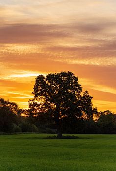 Sonnenaufgang in den Aaseeauen