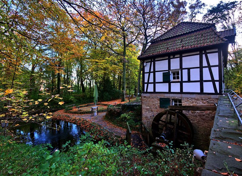 Moulin à eau de Lippholthausen vue latérale par Edgar Schermaul