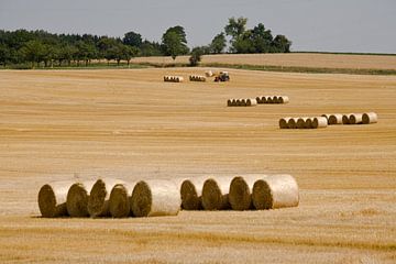 Strohballen