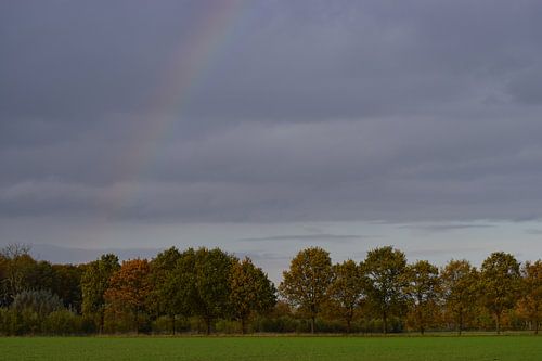 Over de regenboog