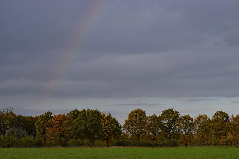 Über dem Regenbogen von Ingrid de Vos - Boom