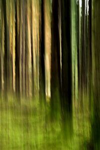 Tremotion, Licht
