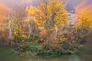 Herfst langs de Maas in Oost-Maarland van Rob Boon