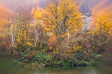 L'automne le long de la Meuse dans l'Oost-Maarland sur Rob Boon