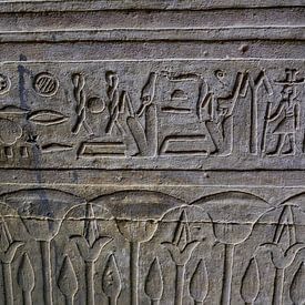 Der Tempel von Edfu in Edfu, Ägypten , Details der Inschriften an seinen Wänden von Mohamed Abdelrazek