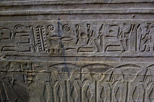 Le temple d'Edfou à Edfou, Egypte, détails des inscriptions sur ses murs sur Mohamed Abdelrazek