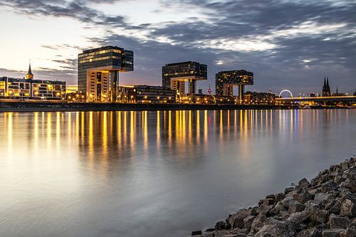 Cologne in the evening
