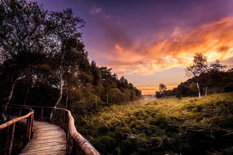 Nationalpark 'De Meinweg' von Juul Hekkens