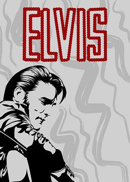Elvis Presley van Pickyysen