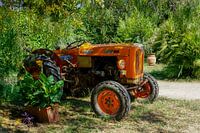 Tractor in Italiaanse wijngaard