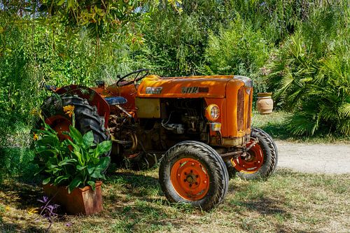 Traktor im italienischen Weinberg