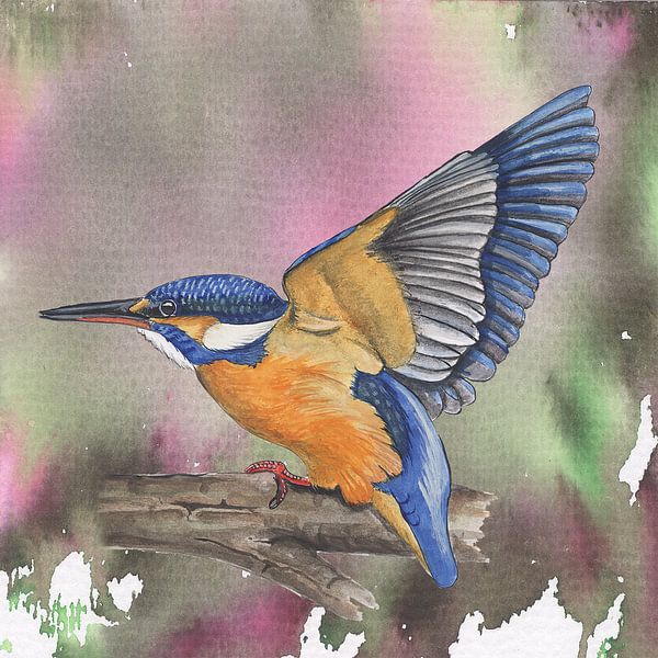 Eisvogel von Jasper de Ruiter