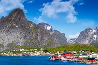 Reine Lofoten in Noorwegen van Hamperium Photography thumbnail