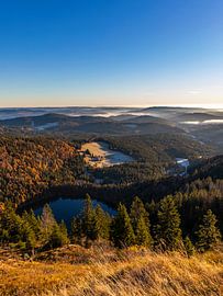 Blick vom Feldberg über den Schwarzwald von Werner Dieterich