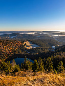 Blick vom Feldberg über den Schwarzwald