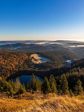 Blick vom Feldberg über den Schwarzwald