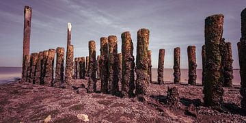 Breakwater at Breskens by Albert Mendelewski