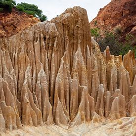 Zandsteenformaties in het Tsingy Rouge Park op Madagaskar van Reiner Conrad