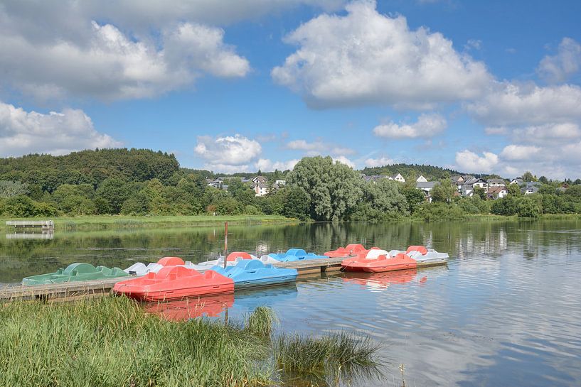 Stahlhofen am Wiesensee von Peter Eckert