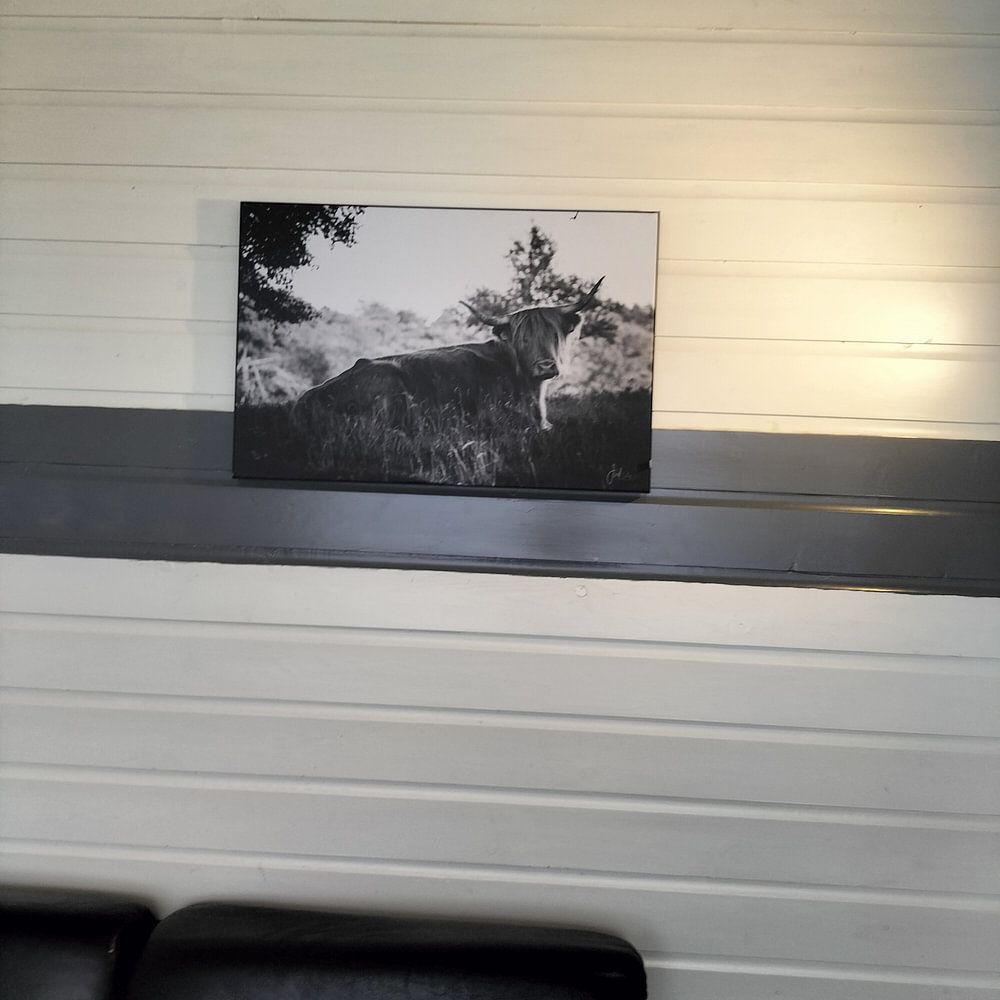 Verborgene Schönheit (Schwarz und Weiß)  von Jordy van Dijken 