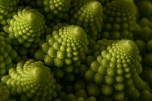 Hoch aufragender Blumenkohl (Romanesco) 
