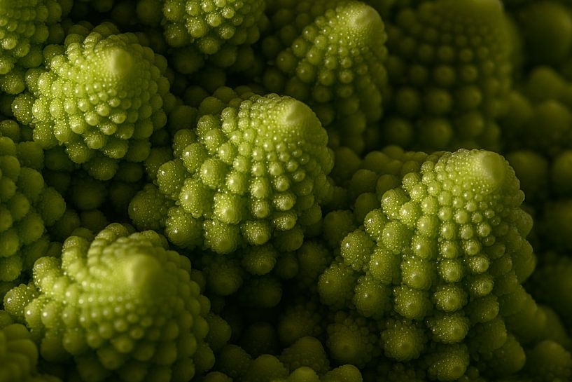 Hoch aufragender Blumenkohl (Romanesco)  von Marjolijn van den Berg