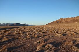 Prärielandschaft Wilder Westen von Erik Oostenbrugge