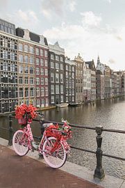 Rosa Fahrrad mit Blumen in Amsterdam