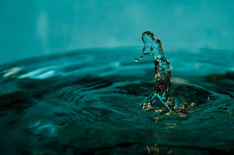 Water lady by Merijn Koster