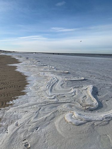 Bevroren zoutwater golven.