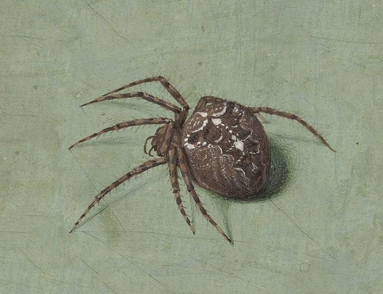 Spider, Jan Augustin van der Goes by Masterful Masters