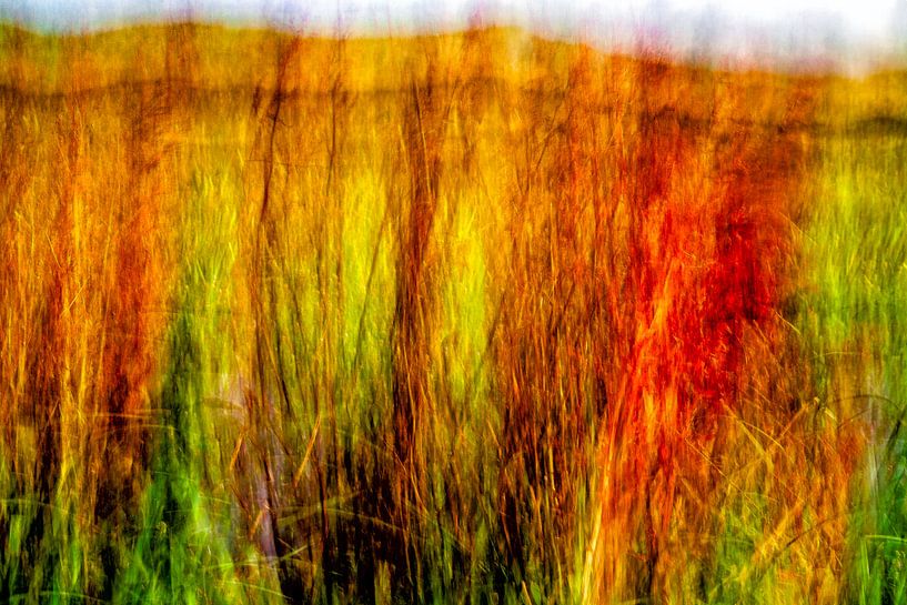 Shimmer of the Dune by Hans Kwaspen