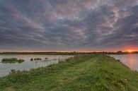 Sonnenuntergang in der Nähe von Werkendamse de Jantjes Platte in den Biesbosch von Adrian Visser Miniaturansicht