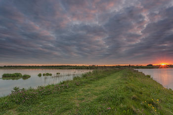Sonnenuntergang in der Nähe von Werkendamse de Jantjes Platte in den Biesbosch