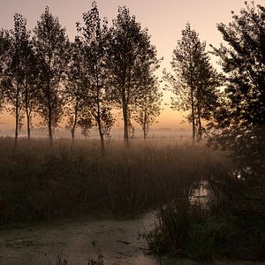 Randen van de nacht