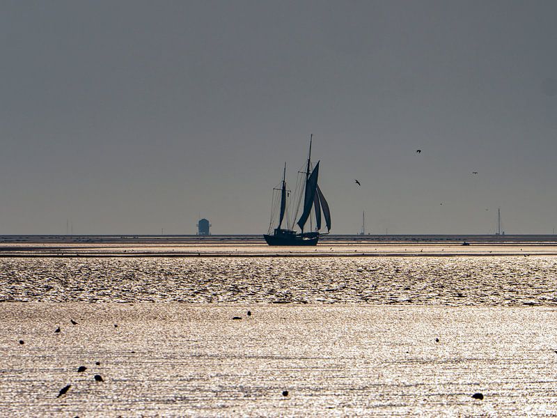 Low water Wadden Sea by suuspixs