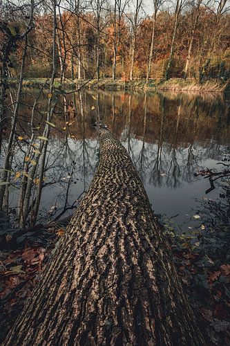 De herfst in het prachtige landschap