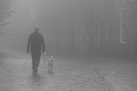 Man in the fog