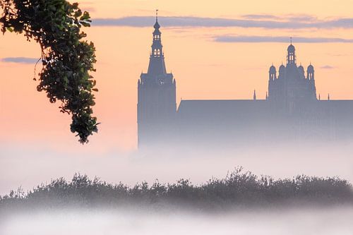 Behind the tree by Ruud Peters