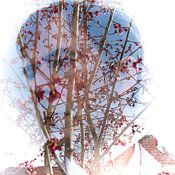 Peter Branger Profile picture