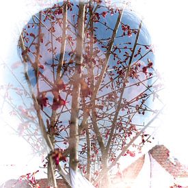 Peter Branger Profile picture