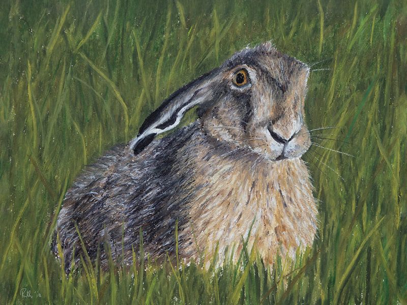 Hase in grün, Ölpastell von Ruth de Ruwe