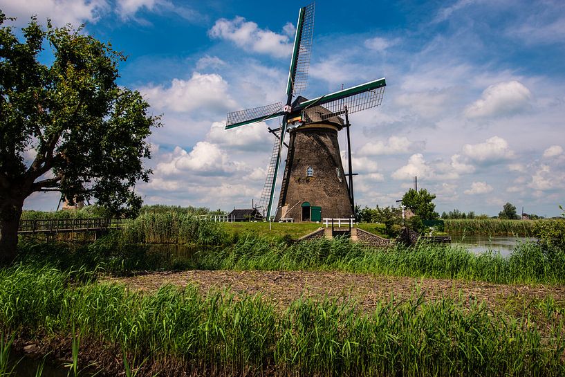 Windmills Holland van Brian Morgan