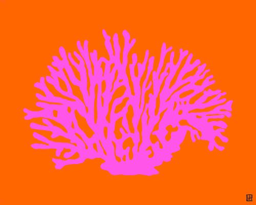 Pink coral