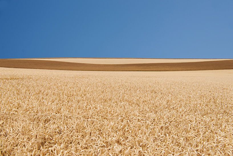 Paysage Culturel #9 by Floris Kok