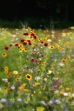 Veld met wilde bloemen van Franke de Jong