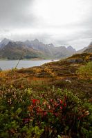 Norwegian nature