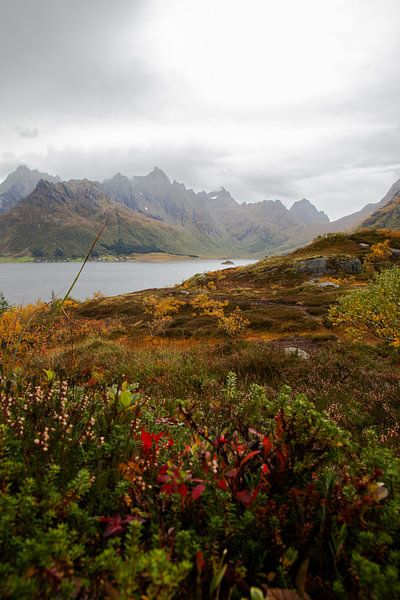 Norwegian nature by Pauline Olsthoorn-Paul