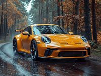 Porsche 911 orange