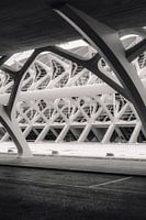 Composition en noir et blanc : la géométrie du modernisme